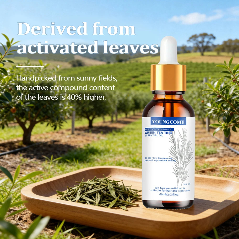 Green Tea Tree Essential Oil Moistunaing Skin Lifting Firm Fade Fine Lines Anti-aging Essence White Brighten Nourish Skin Care Quake