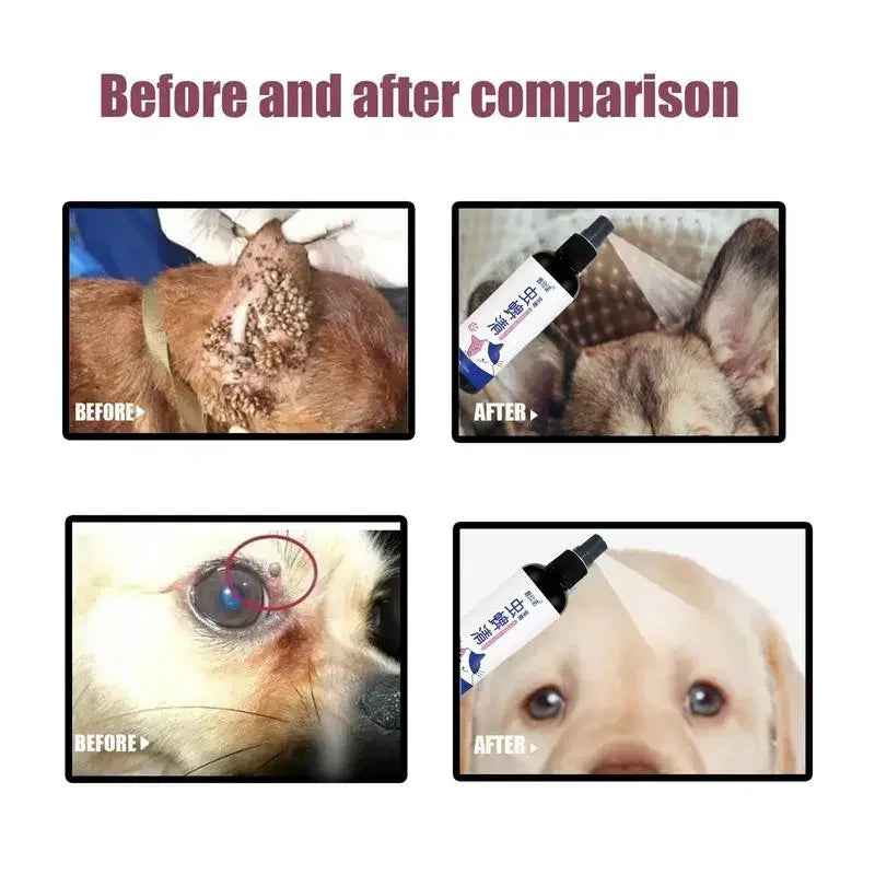 Pet Dog Cat Anti Flea Drops 100ml Insectcide Flea Lice Insect Remover Spray Flea And Tick Concentrate Formula Pet Flea Remover Quake