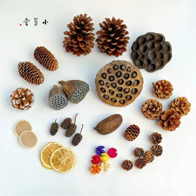 Dried Flowers Fruits & Pinecones Small Pet Supplies Decor - Natural Handmade Ornaments for Hamster Rabbit Cage, Home Decoration Quake