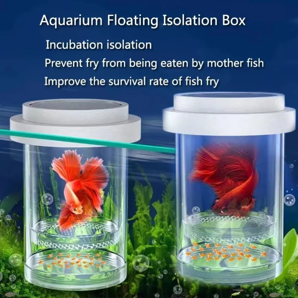 Plastic Mesh Floating Hatching Box Transparent Shrimp Guppy Floating Fish Breeding Isolation Box Detachable Aquarium Breeder Quake