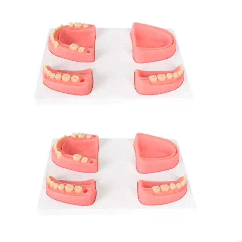 Dental Suturing Practice Model Set with 4 Training Modules for Suture Techniques, Classroom Instruction and Individual K1KF Quake