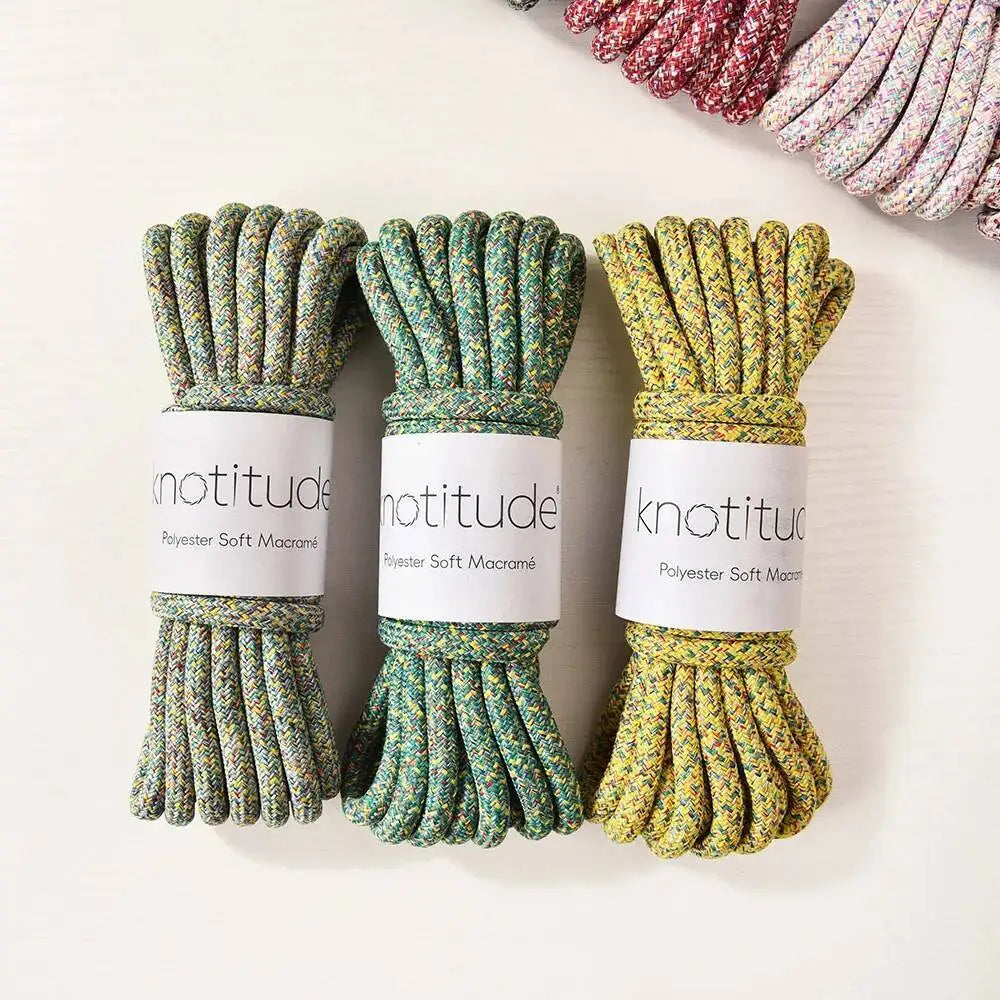 8MM 5 Meters Polyester Braid Cord Pet Leash Making Rope Outdoor Rope Thick Macrame Cord DIY Handmade Accessory Yarn Quake