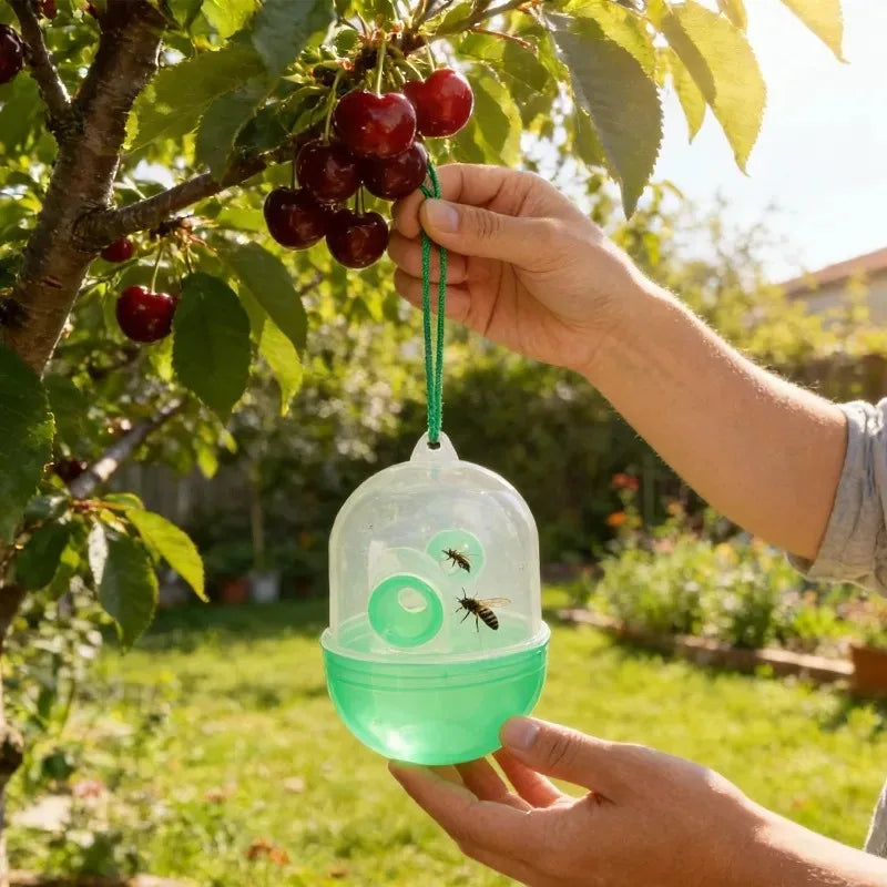 Clear Plastic Outdoor Hanging Insect Trap Reusable Fly Trap for Wasp Bees Effective Insect Traps Hornet Catcher for Garden Farm Quake