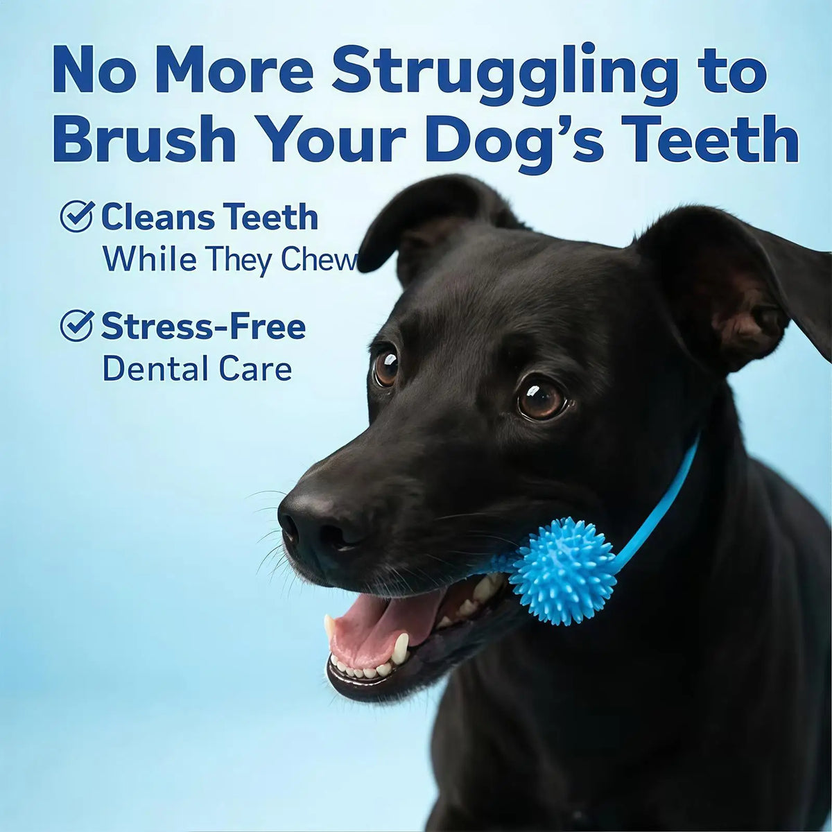 Dog Chew Toy, Double-Action Rubber Chewer, Teeth Cleaning for Small Medium Large Breeds, Home Daily Use Quake