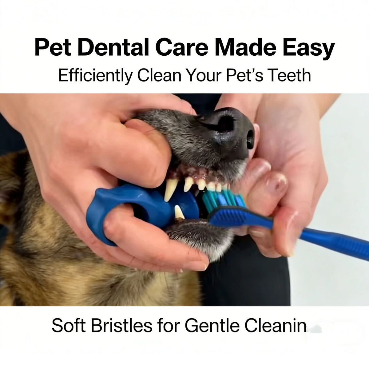 Silicone Soft Pet Finger Cuff Toothbrushes Dog Brush Bad Breath Tartar Teeth Care Tool Cat Cleaning Scrub Silicagel Pet Supplies Quake