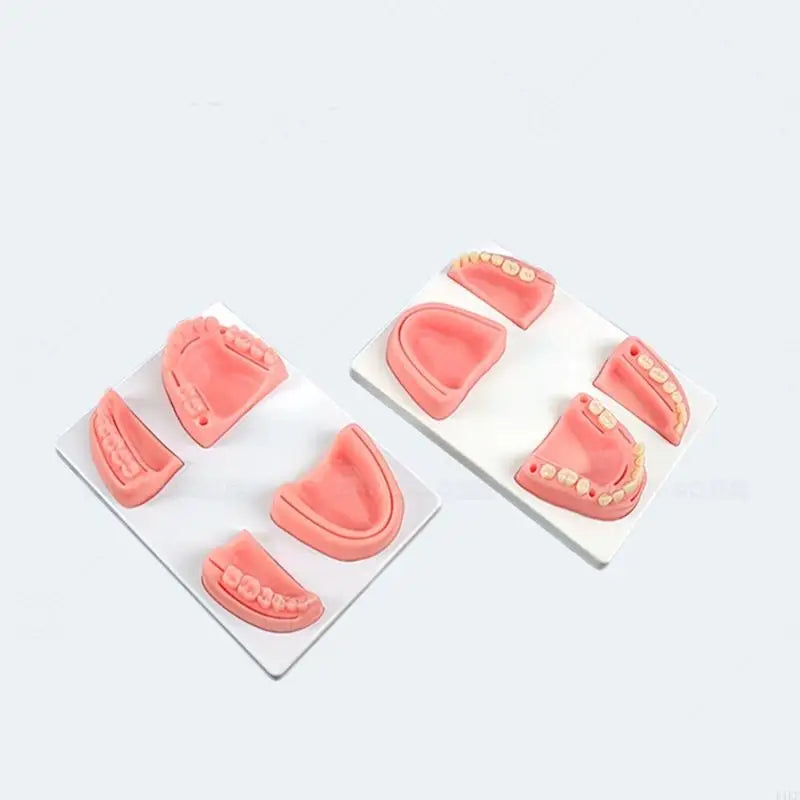 Dental Suturing Practice Model Set with 4 Training Modules for Suture Techniques, Classroom Instruction and Individual K1KF Quake