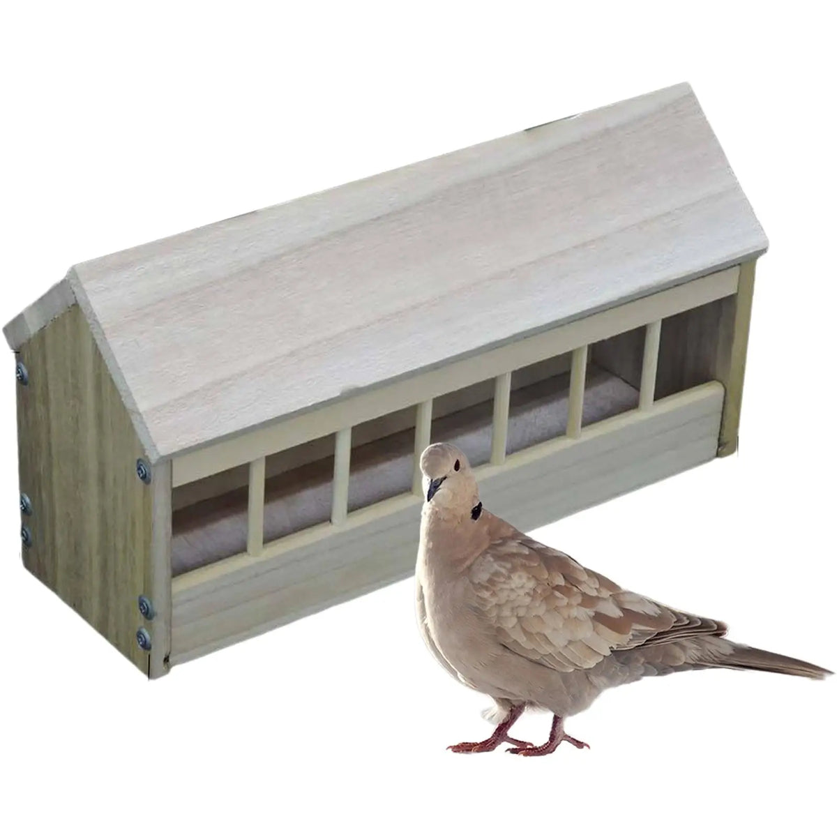 Pigeon Feeder Poultry Trough Dish Wooden Bird Dispenser for Pigeons Chicks Quake
