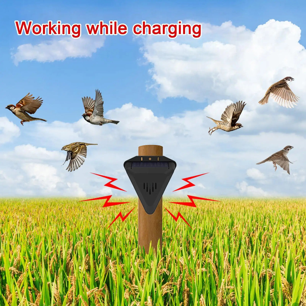 Solar Bird Repeller Outdoor Animal Deterrents Waterproof with 13 Sound Modes for Garden Yard Patio Farmhouse Courtyard Quake