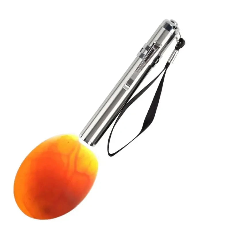 Bright LED Egg Candling Lamp Egg Tester for Dark Chicken Quail Canary Eggs Quake