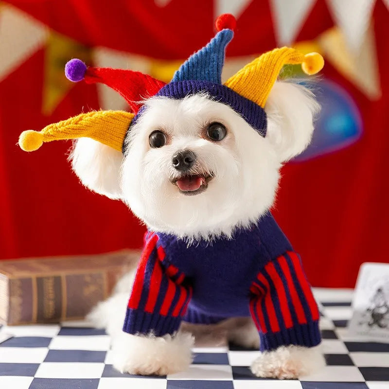 Cute Pet Dog Sweater Winter Dog Warm Clothes Puppy Coat Chihuahua Bichon Yorkie Clothing Sweaters and Hat Set Dog Costume Quake blue and hat XL