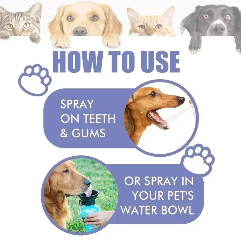 Pet Teeth Cleaning Spray Oral Care Remove Tooth Stains Keep Fresh Breath for Cats and Dogs Whitening Remove bad breath Quake