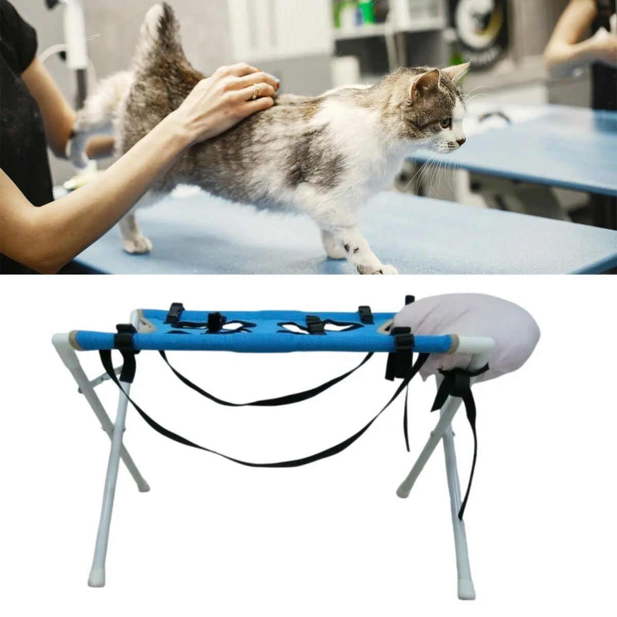 Pet Grooming Table Cleaning Accessory Pet Washing Station Bathing Stand with Pillow for Home Nail Trimming Pets Bathing Grooming Quake