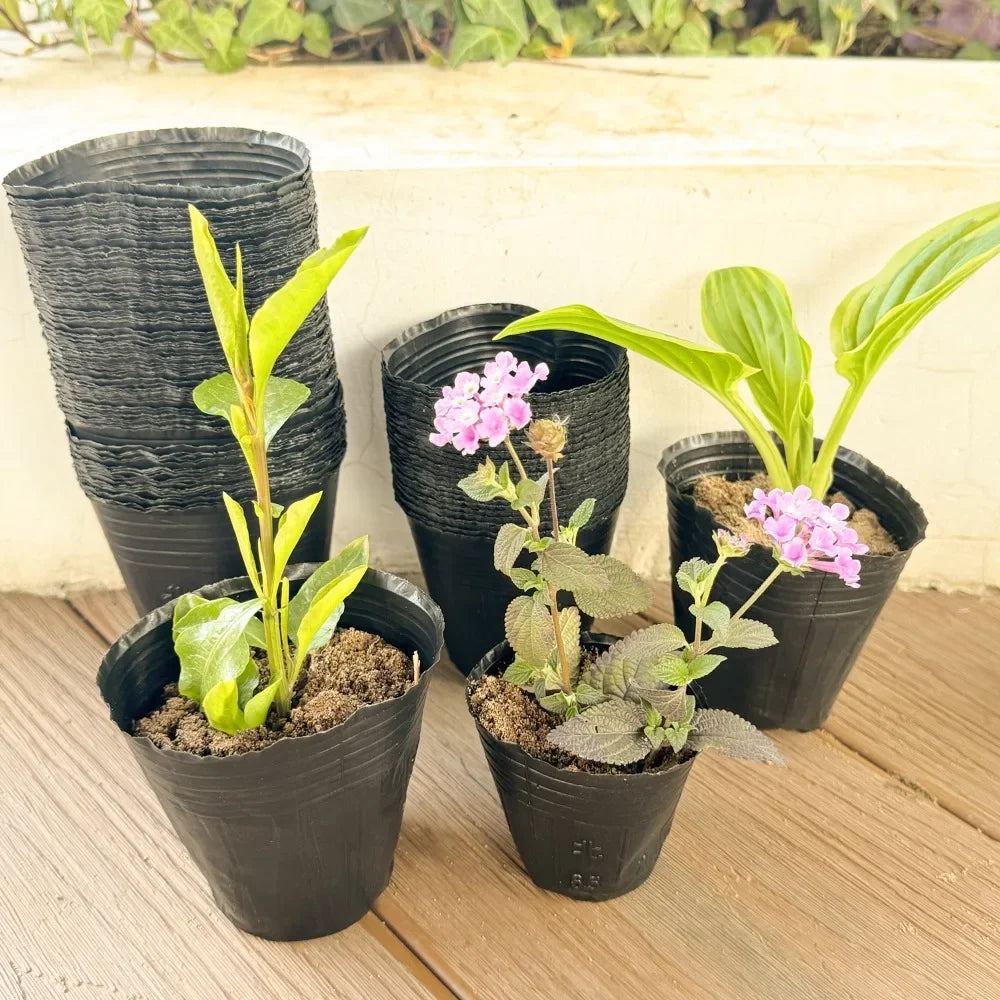 100/50PCS Thickened Seedling Bag with Holes Plastic Flowerpot Flower Plant Breathable Container Garden Vegetable Planting Pots Quake