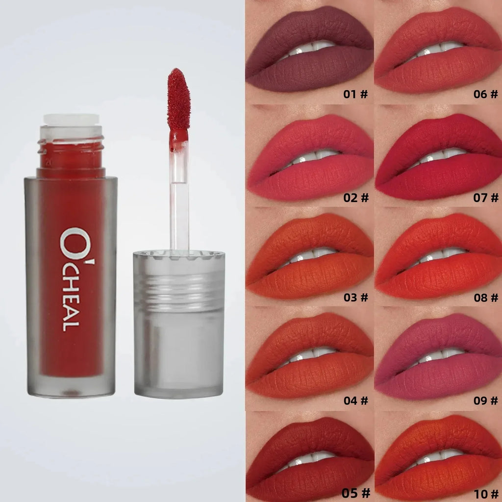 10PCS Matte Velvet Lip Gloss Set Hydrating Moisturizing Non-Sticky Liquid Lipstick Collection for Smooth Comfortable Lip Makeup Quake