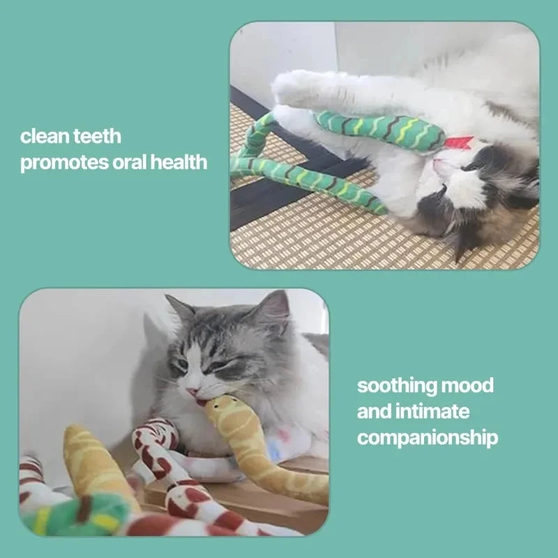 Indoor Cat Kitten Plush Snake Toy Catnip Interactive Teeth Cleaning Chew Pet Toy Quake