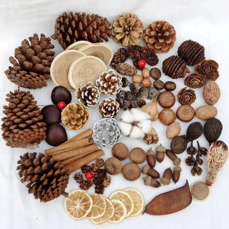Dried Flowers Fruits & Pinecones Small Pet Supplies Decor - Natural Handmade Ornaments for Hamster Rabbit Cage, Home Decoration Quake