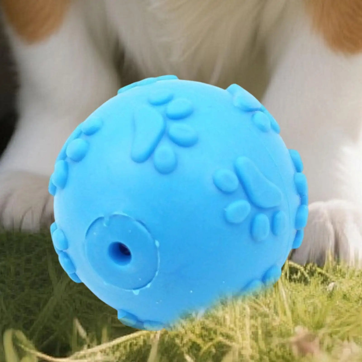 Puppy Chew Ball Squeaky Bouncy Pet Teething Toy for Home Garden Park Living Room Bedroom Garage Farmhouse Poolside Quake