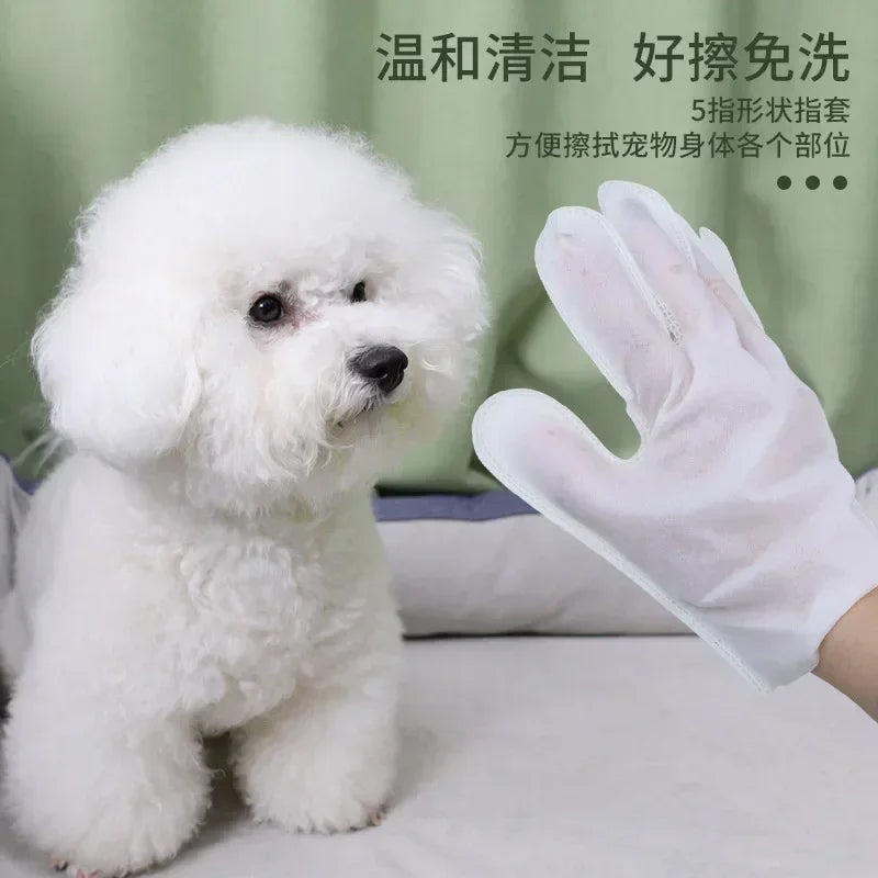 6PCS Cat Dog Disposable Glove Towels Pet Wash Free Glove No Rinse Washing Gloves Towels Deodorizing Dry Cleaning Wet Towels Quake