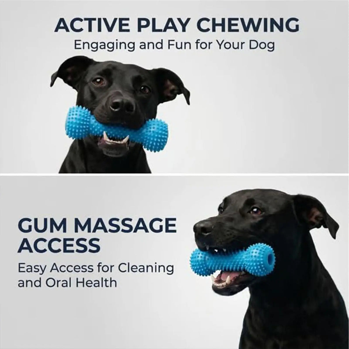 Dog Chew Toy, Double-Action Rubber Chewer, Teeth Cleaning for Small Medium Large Breeds, Home Daily Use Quake