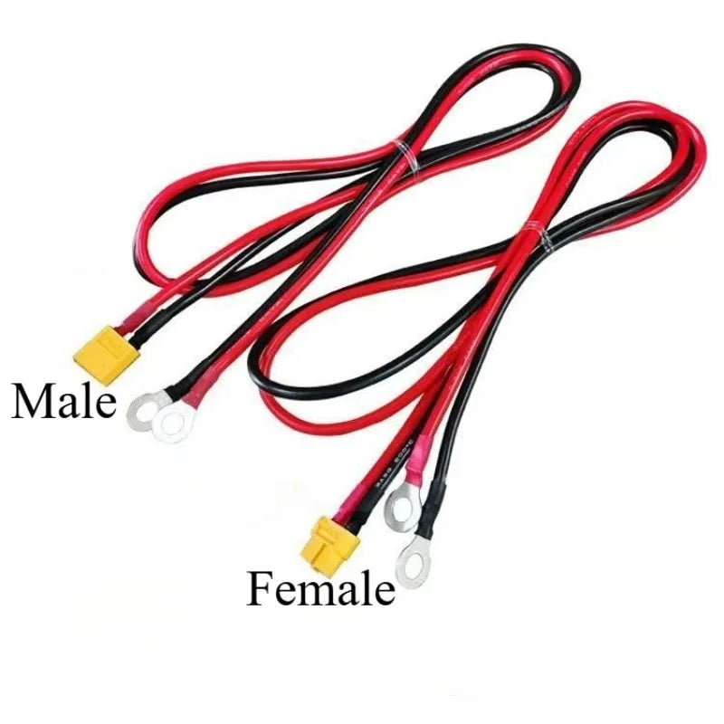 XT60 Female/Male to M6/8/10 O Ring Eyelet Terminal Plug Connector Cable 10AWG Charger Side Power Wire for RC Battery FPV Racing Quake