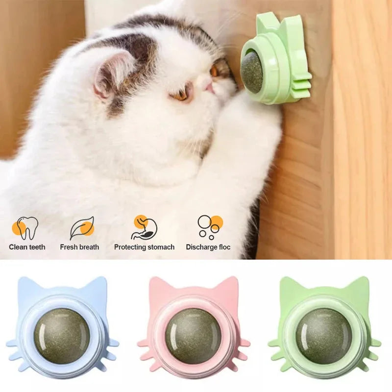 1PCS Catnip Lollipop Cat Treat Wall Design Dental Care Fresh Breath Cat Snacks Energy Ball Stomach Protection Pet Supplies Quake