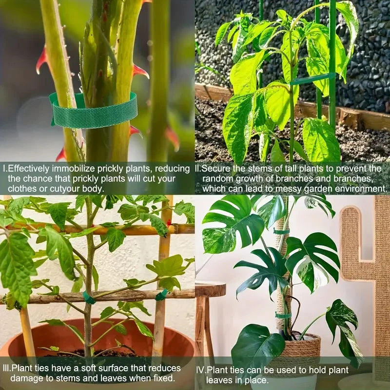 50/100Pcs Reusable Adjustable Non-Slip Nylon Plant Ties Perfect for Climbing Plants Support and Gardening Maintenance Tool Safe Quake