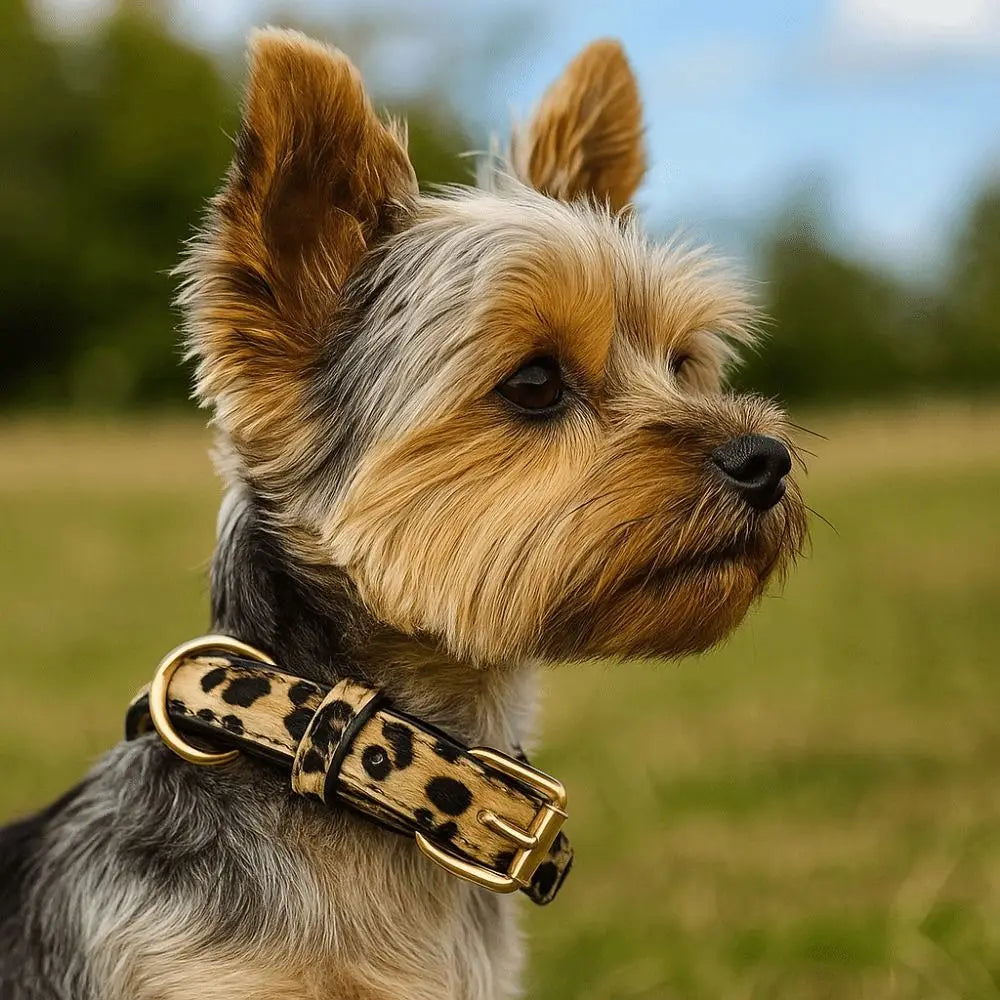 Leopard Print Dog Collar PU Leather Wear Resistant Adjustable Pet Collar Pet Walking Leopard Dog Collar Small Medium Dogs Quake