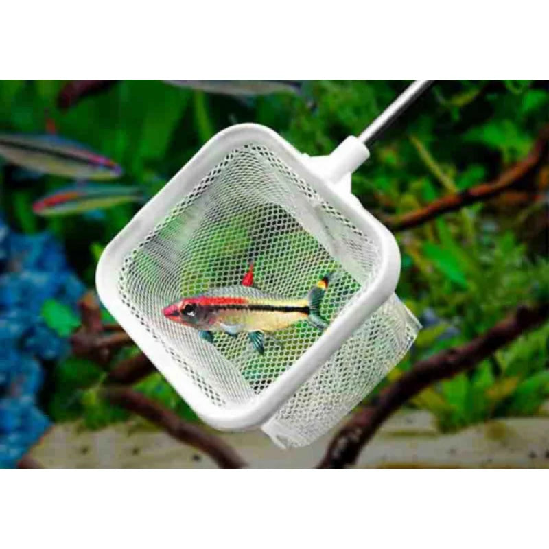 Square Fishing Net For Aquarium With Suction Cups, Retractable Fishing Equipment, With Long Handle, For Catching Fish And Shrimp Quake