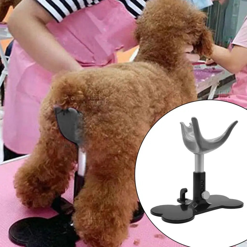 Dog Auxiliary Support Bracket Durable Pet Dog Gift Pet Supplies and Gel Dog Grooming Bathing Small Dogs Quake