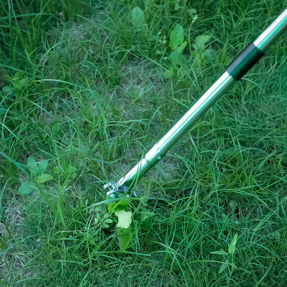 Weeder Weed Remover Uprooting Pull Heavy Duty 50.39 inch Length without Bending or Kneeling Weed Puller Tool for Gardening Quake