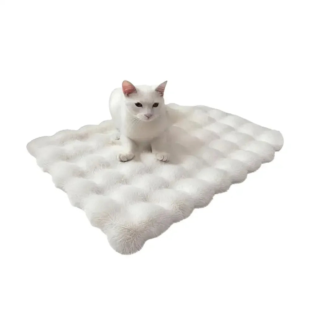 Warm Plush Pet Bed for Cats Dogs Thick Soft Sleeping Mat Universal All Seasons Autumn Winter Pet Pad Quake B14415B 50x70cm