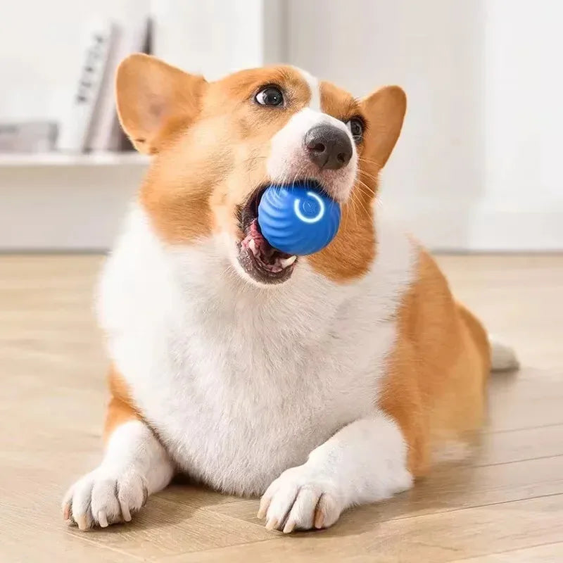 1pcs Dog Toys Intelligent Gravity Jump Ball Rechargeable Bite-Resistant Rolling Ball Cat And Dog Chase Interactive Pet Toys Quake