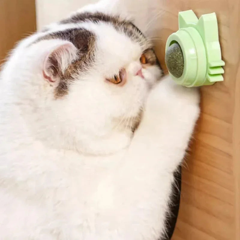 1PCS Catnip Lollipop Cat Treat Wall Design Dental Care Fresh Breath Cat Snacks Energy Ball Stomach Protection Pet Supplies Quake