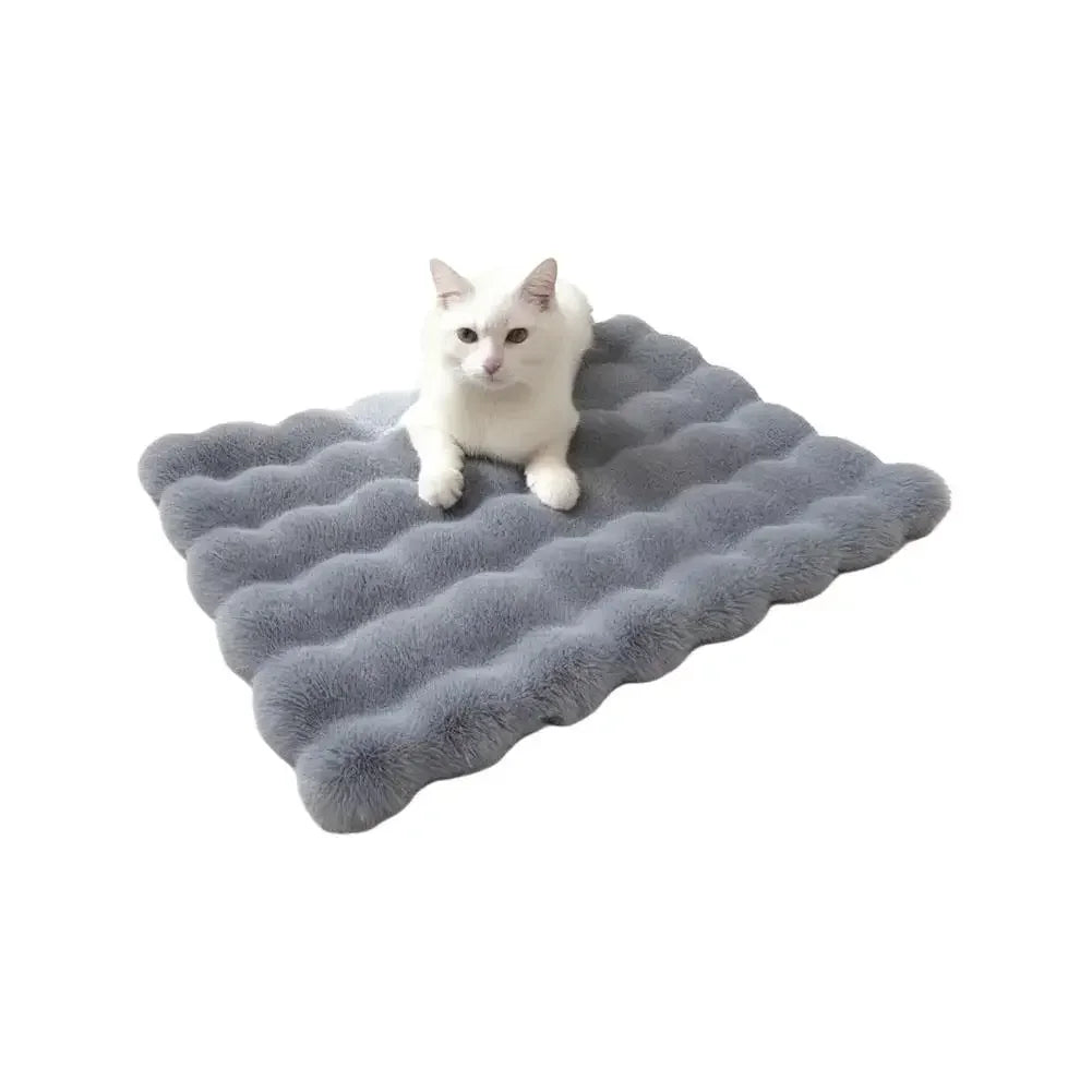 Warm Plush Pet Bed for Cats Dogs Thick Soft Sleeping Mat Universal All Seasons Autumn Winter Pet Pad Quake B14415C 50x70cm