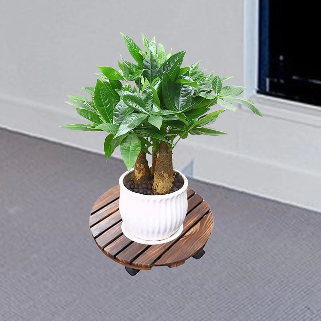 Wood Plant Caddy with Swiveling Casters Round Plant Roller Base Rolling Plant Stand for Living Room Indoor Outdoor Yard Garden Quake 25 cm