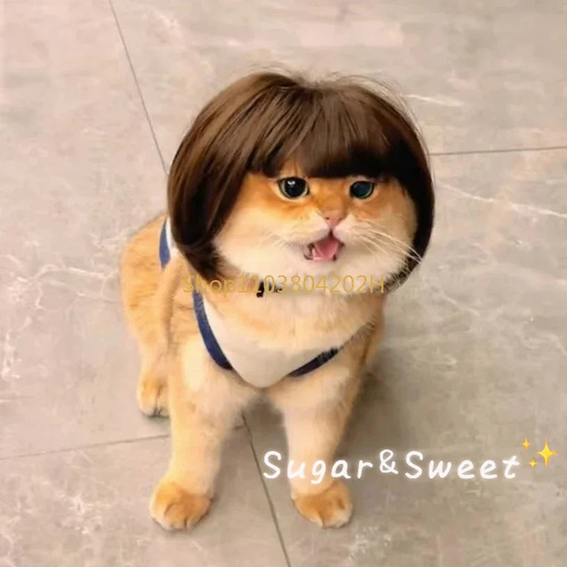 Dog Wig Funny Pet Wig Headgear Cat Dog Funny Hair Accessories Bangs Braids Exploding Heads Cosplay Quake