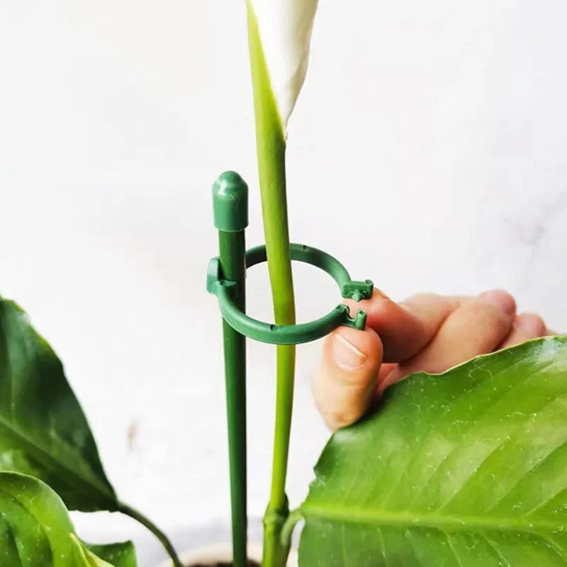 30/40cm Garden Plant Support Pole Orchid Stakes with Clip Adjustable Plant Stand Suitable for Potted Plants Vegetables Tomatoes Quake