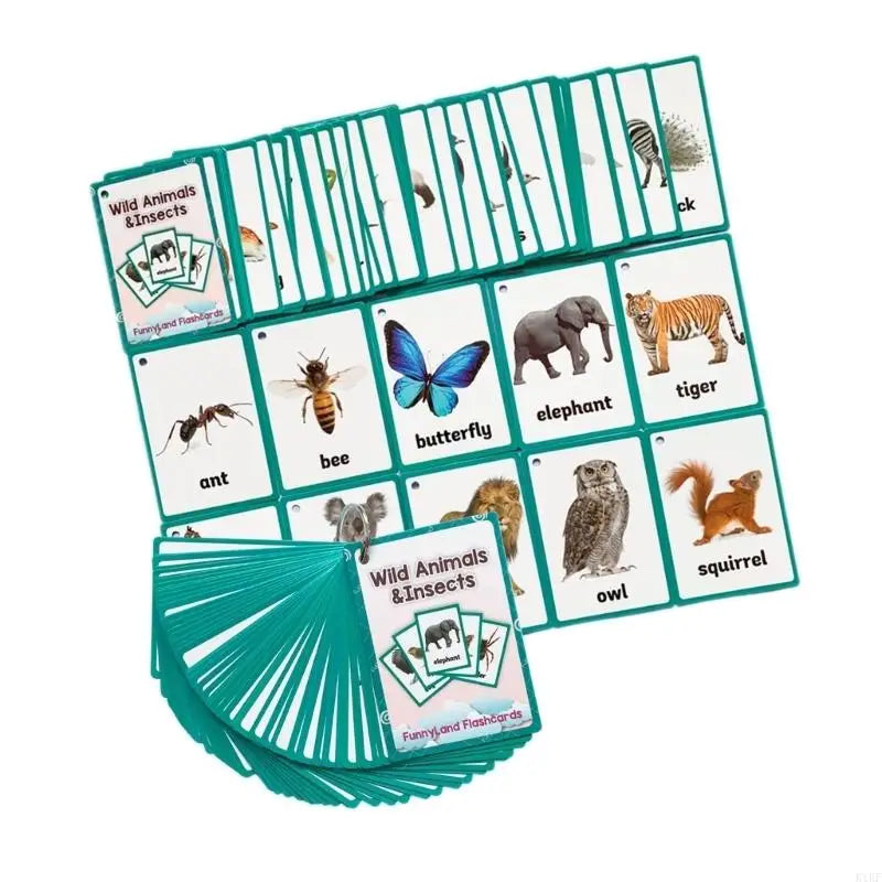 Wildlife Insect Flash Cards For Kid With Vibrant Pictures And Words To Enhances Language Learning And Cognitive Skills K1KF Quake CN
