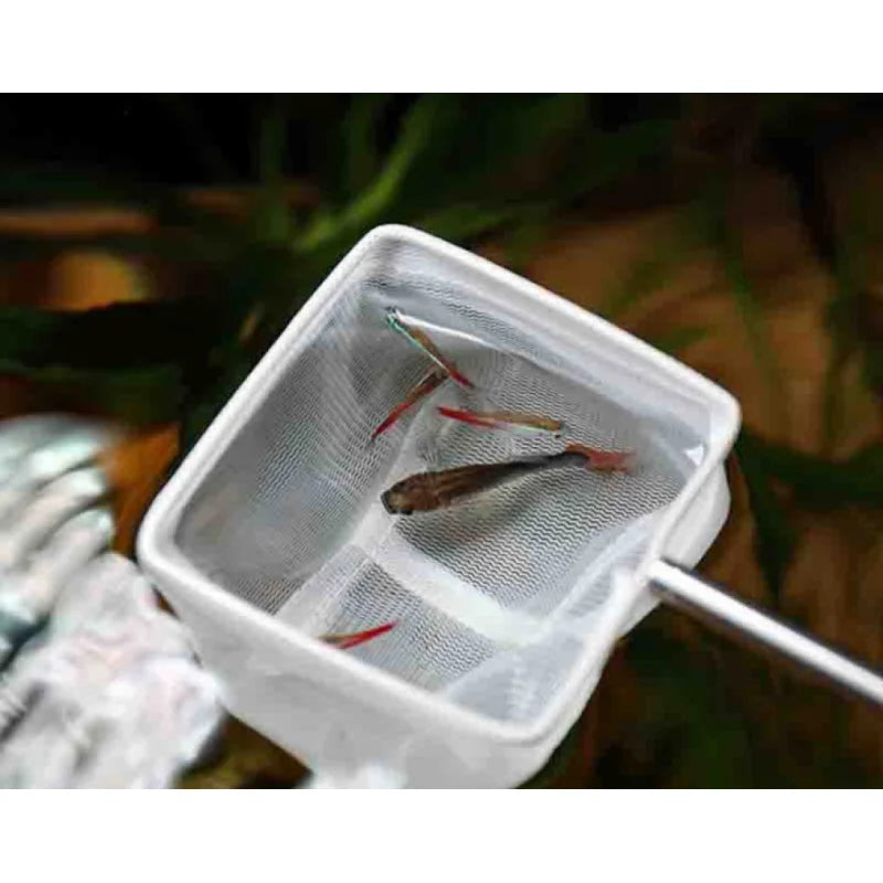 Square Fishing Net For Aquarium With Suction Cups, Retractable Fishing Equipment, With Long Handle, For Catching Fish And Shrimp Quake