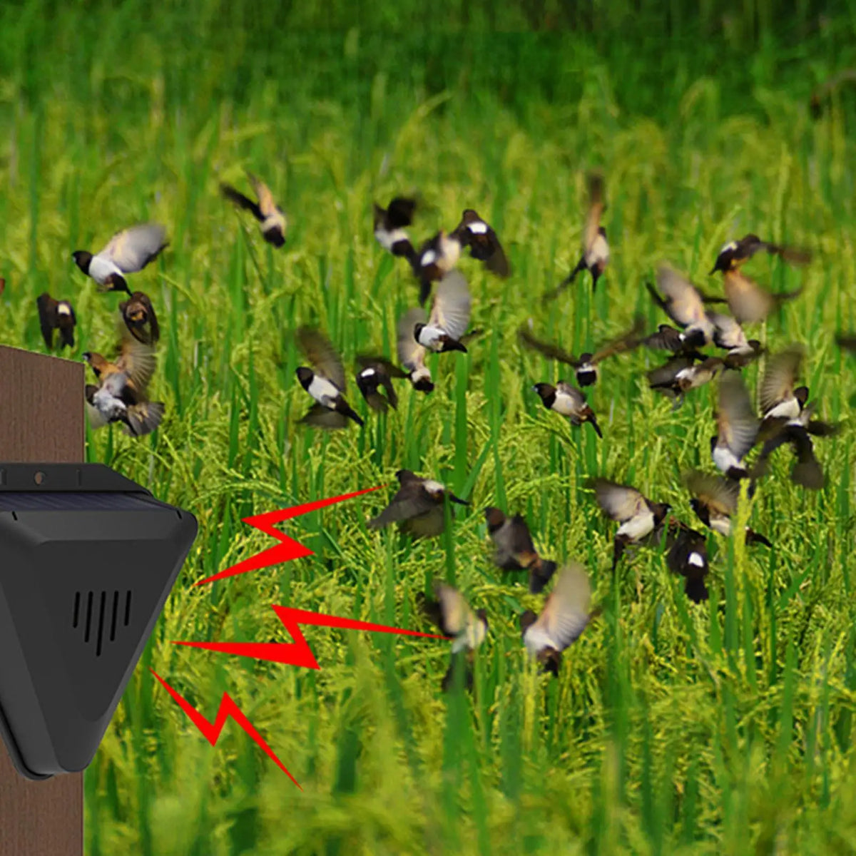 Solar Bird Repeller Outdoor Animal Deterrents Waterproof with 13 Sound Modes for Garden Yard Patio Farmhouse Courtyard Quake
