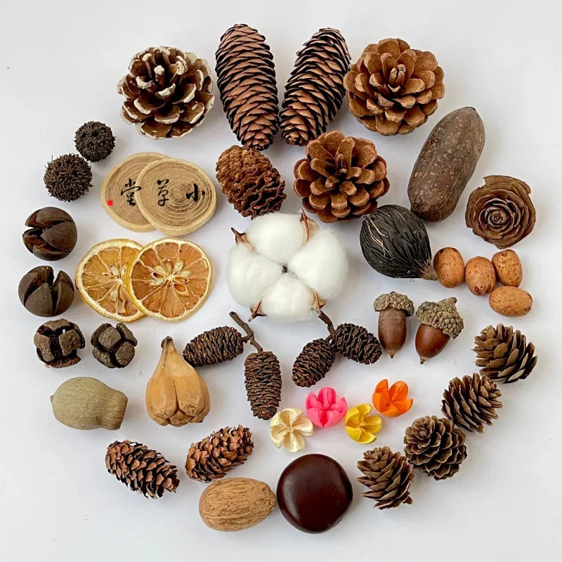 Dried Flowers Fruits & Pinecones Small Pet Supplies Decor - Natural Handmade Ornaments for Hamster Rabbit Cage, Home Decoration Quake random 20pcs B13653A