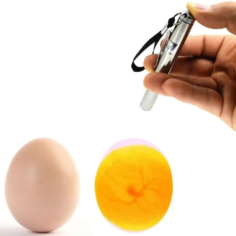 Bright LED Egg Candling Lamp Egg Tester for Dark Chicken Quail Canary Eggs Quake