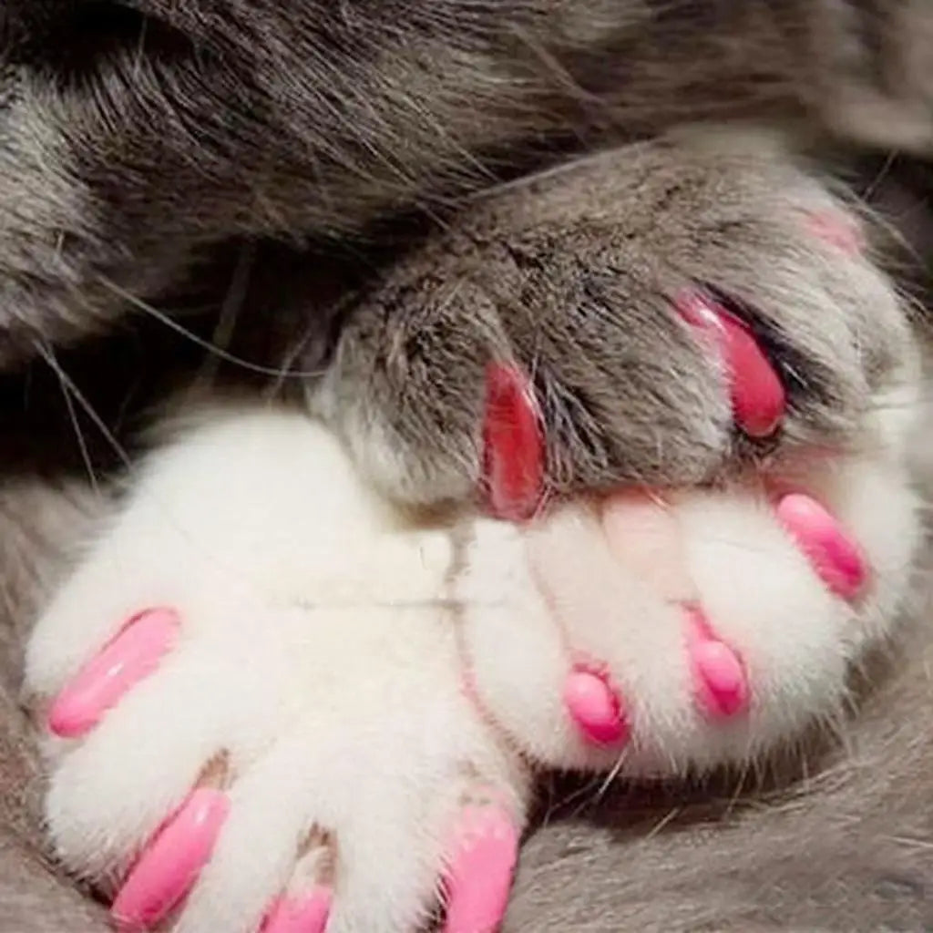 Cat Toenail Caps Plastic Pet Nail Protector Dog Grooming Trimmer for Home Furniture Defense Quake