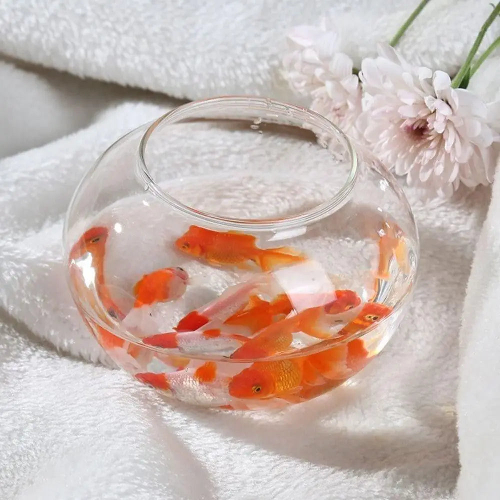 New Transparent Fish Tank Round Unbreakable Aquarium Plastic Lightweight Small Fish Bowl Home Decor Quake