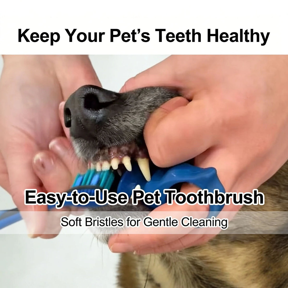 Silicone Soft Pet Finger Cuff Toothbrushes Dog Brush Bad Breath Tartar Teeth Care Tool Cat Cleaning Scrub Silicagel Pet Supplies Quake
