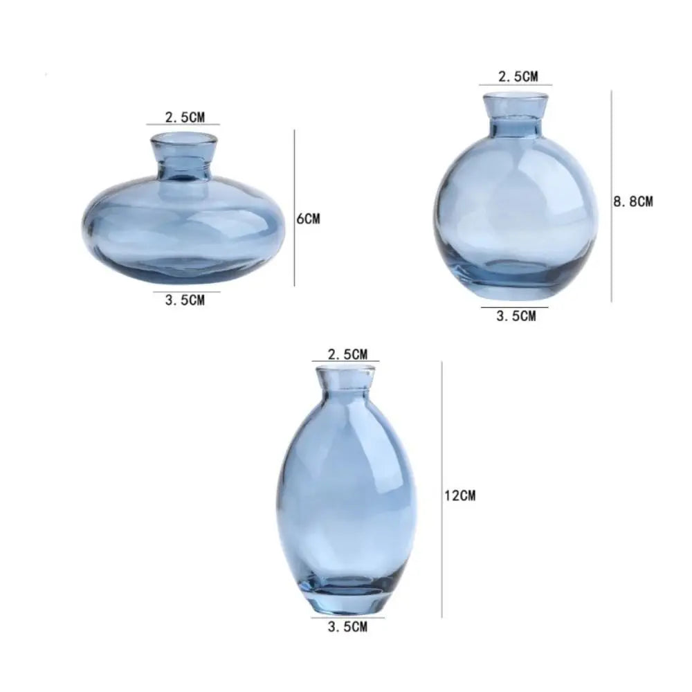 Transparent Mini Flower Vase Home Decoration Glass Hydroponic Plant Bottle Small Desktop Flower Arrangement Pot Living Room Quake