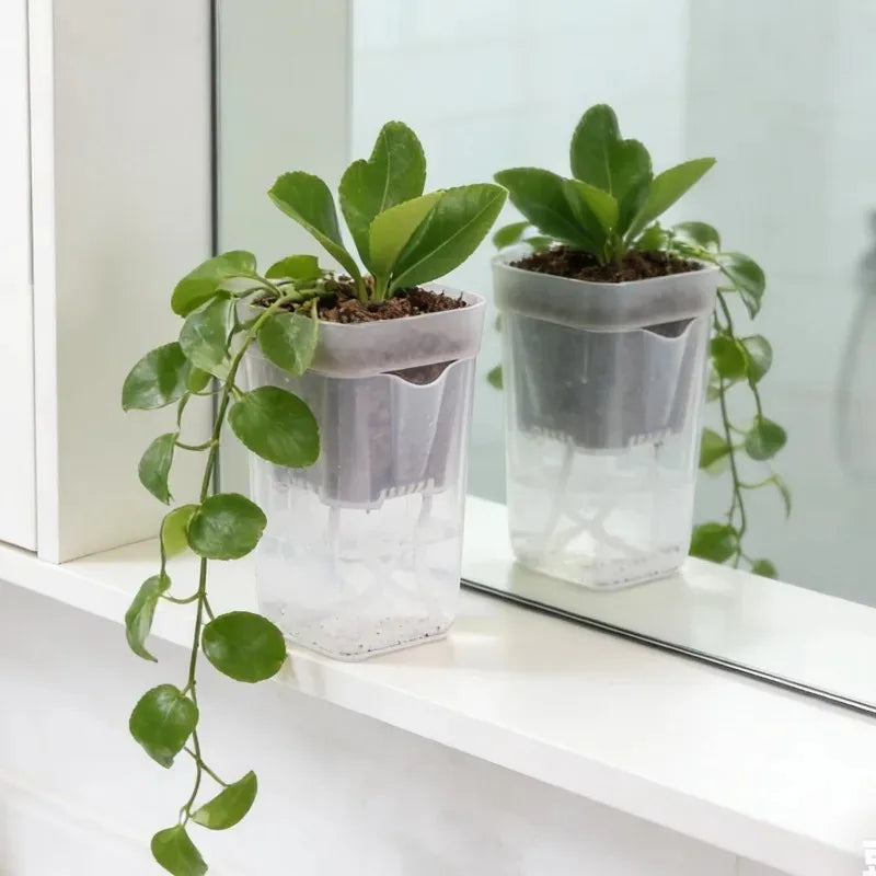 5/1PCS Dry Wet Separation Seedling Planting Flowerpot Self Watering Plant Pots Mini Translucent Plastic Planters Garden Supplies Quake