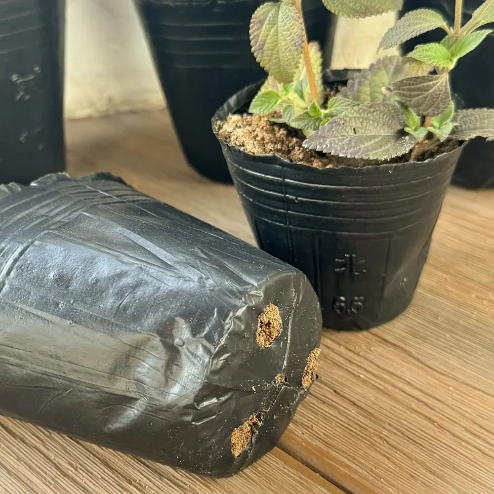 100/50PCS Thickened Seedling Bag with Holes Plastic Flowerpot Flower Plant Breathable Container Garden Vegetable Planting Pots Quake