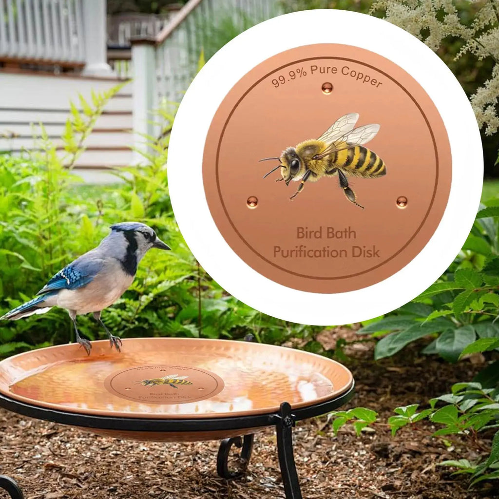 Bird Bath Purification Disk Metal Bee Patterns Cleaner Durable Rustproof Portable for Outdoor Garden Deck Patio Bowl Fountain Quake