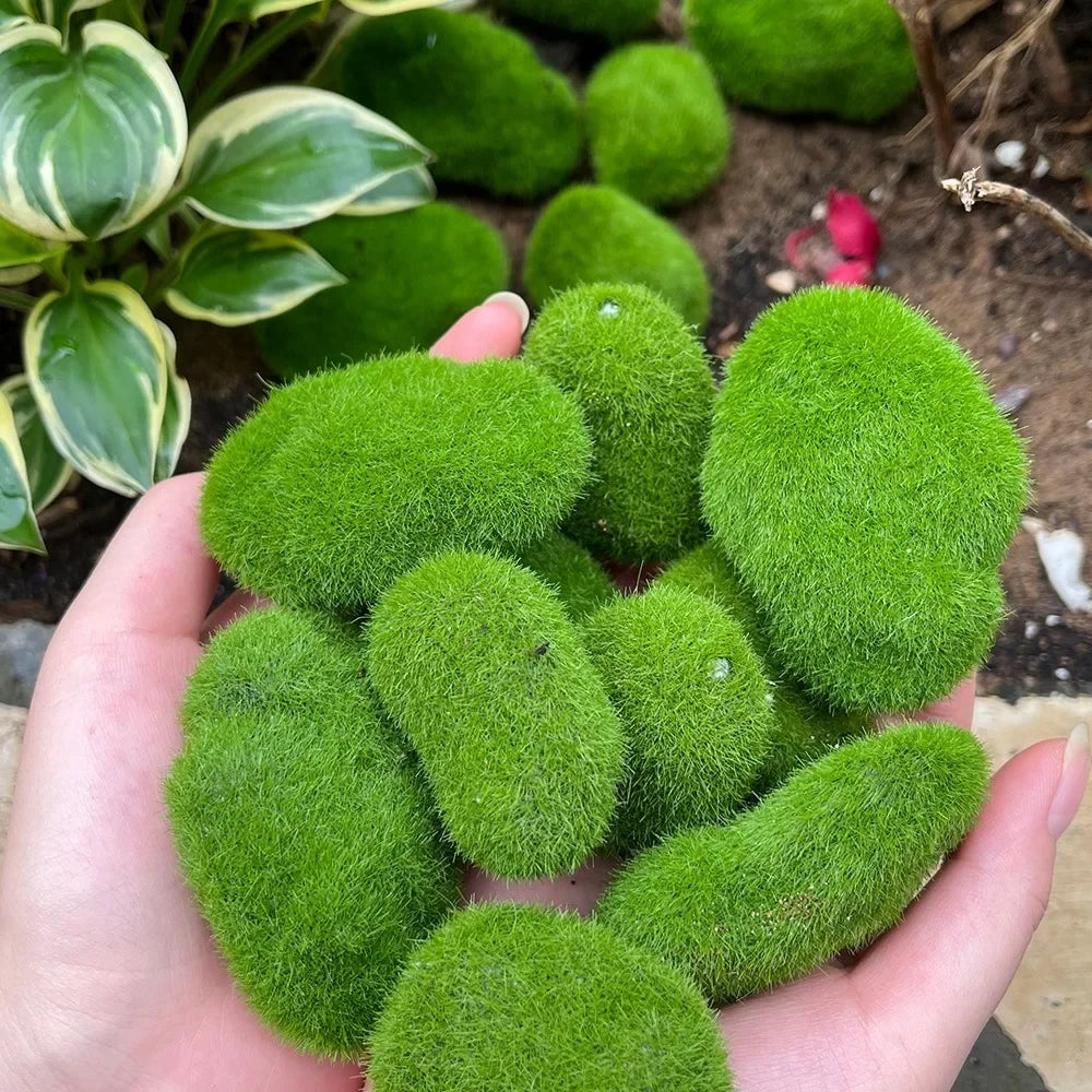 50/5PCS Artificial Foam Moss Rocks Fake Green Moss Stone Micro Landscape DIY Crafts for Home Garden Flower Pot Decoration Stone Quake